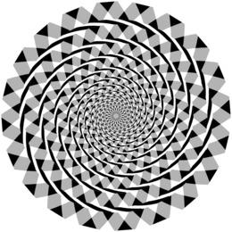 Illuzyon Optik Illuzyon Png Indir Ucretsiz Fraser Spiral Illuzyonu Optik Yanilsama Daire Dama Tahtasi Kucuk Resim Seffaf Png Goruntusu