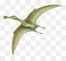 Quetzalcoatlus Png Indir Ucretsiz Quetzalcoatlus Tyrannosaurus Zhejiangopterus Argentinosaurus Dinozor Dinozorlar Dinozor Seffaf Png Goruntusu