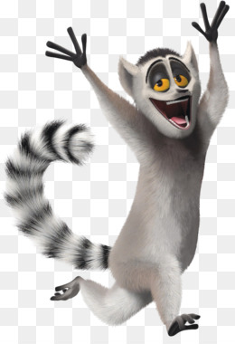 Amca Kral Julien Mort Lemur Madagaskar Madagaskar Penguenleri Seffaf Png Goruntusu