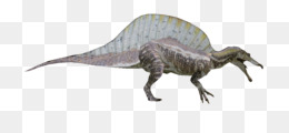 Kaprosuchus Png Indir Ucretsiz Timsah Sarcosuchus Kaprosuchus Timsah Camptosaurus Domuzu Seffaf Png Goruntusu