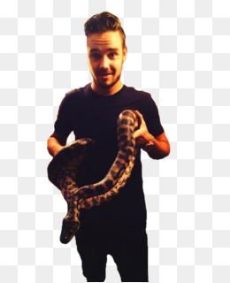 Liam Png Indir Ucretsiz Zayn Malik Bir Yonde Kucuk Seyler Hakan Seffaf Png Goruntusu