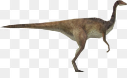 Gallimimus Png Indir Ucretsiz Velociraptor Jurassic Park Operation Genesis Gallimimus Edmontosaurus Brachiosaurus Gallimimus Boyutu Seffaf Png Goruntusu