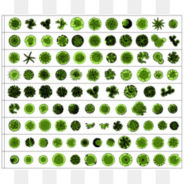 Agac Mimarlik Mimari Plan Cizim Peyzaj Seffaf Png Goruntusu