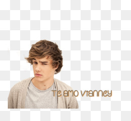 Liam Payne Bir Yonde Fotograf Grupta Spotify Hakan Seffaf Png Goruntusu