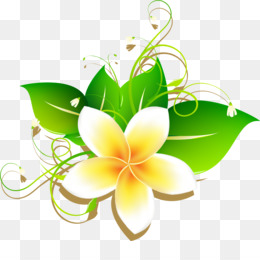 Sablon Frangipani Cizim Plumeria Seffaf Png Goruntusu