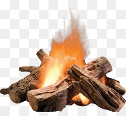 Campfire Kucuk Resim Kamp Atesi Vektor Seffaf Png Goruntusu