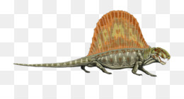 Dimetrodon Png Indir Ucretsiz Ctenospondylus Dimetrodon Tyrannosaurus Ophiacodon Secodontosaurus Dinozor Seffaf Png Goruntusu